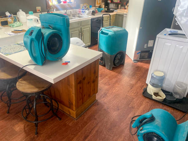 Best Mold removal after water damage  in Marcus, IA