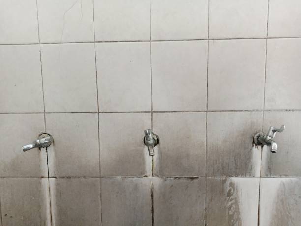 Best Water damage restoration near me  in Marcus, IA