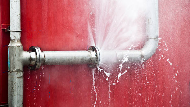 Best Local water damage restoration  in Marcus, IA